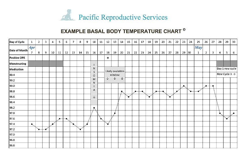 Ovulation Chart Example